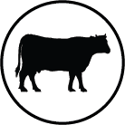 Cows