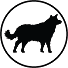 Dogs