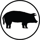 Swine