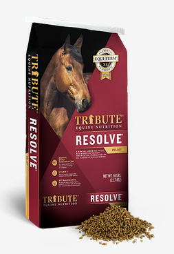 Tribute Resolve