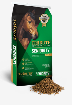 Tribute Seniority